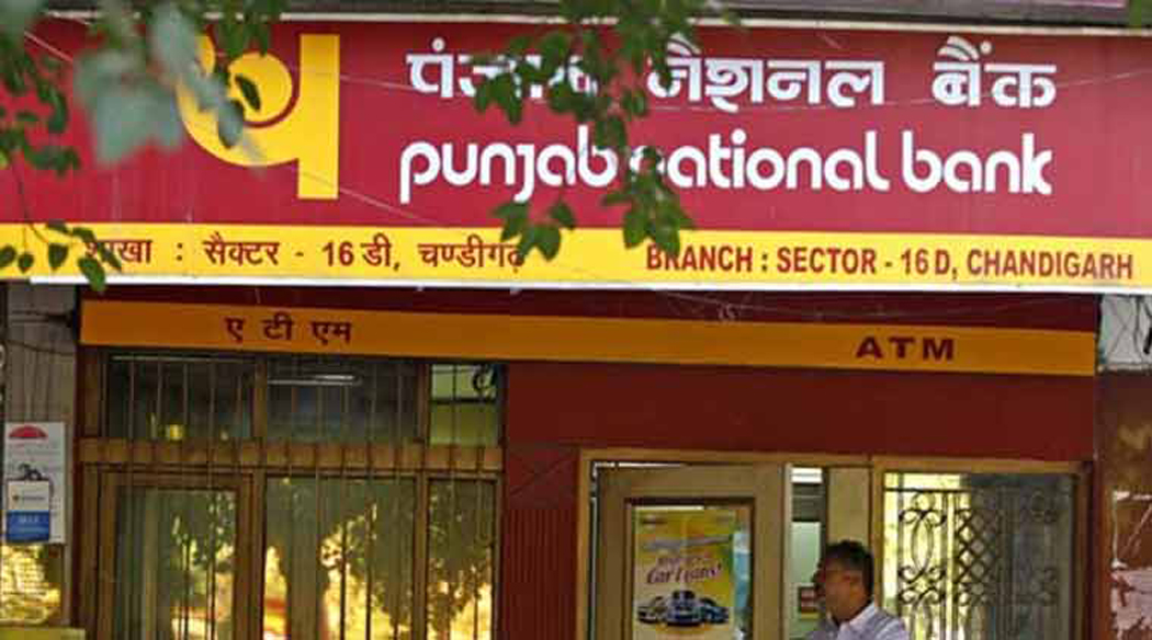 Punjab National Bank Profit 